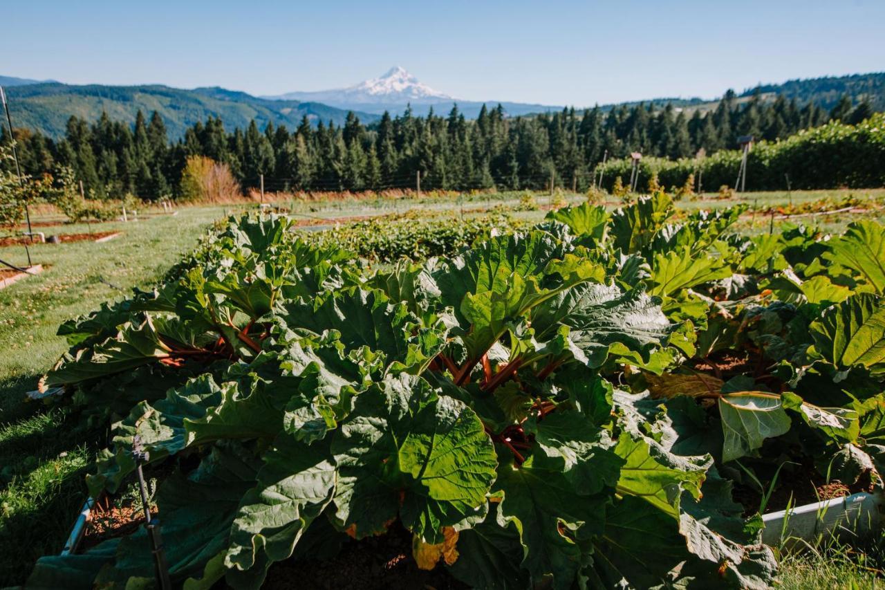 Sakura Ridge The Farm & Lodge Hood River Extérieur photo