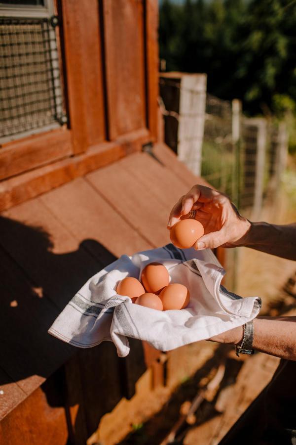 Sakura Ridge The Farm & Lodge Hood River Extérieur photo